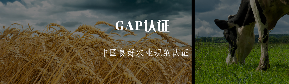 GAP认证(图1) GAP认证(图1)