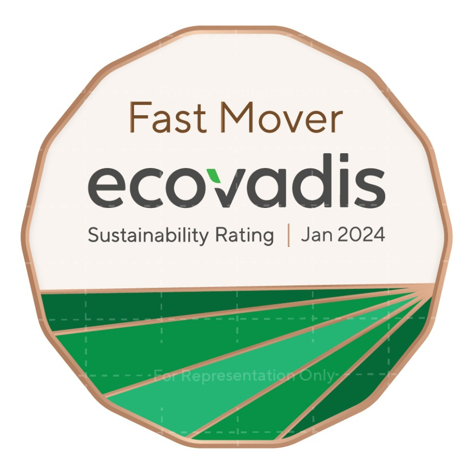 EcoVadis认证(图11)