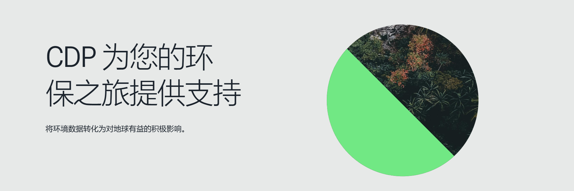 CDP碳信息披露(图2) CDP碳信息披露(图2)